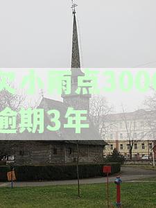 小雨点逾期20天会上征信吗：逾期时长与影响解析