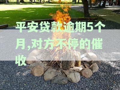 平安贷款逾期5个月,对方不停催收如何应对