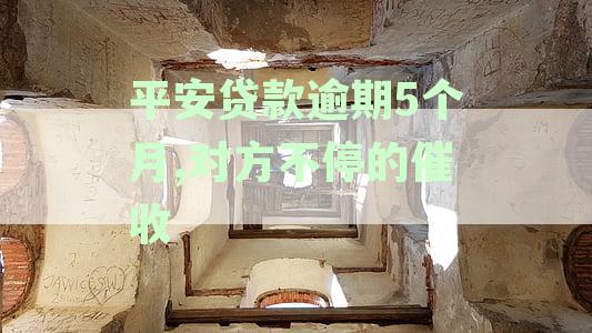平安贷款逾期5个月,对方不停催收如何应对处理