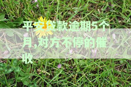 平安贷款逾期会怎样？逾期处罚、上征信、起诉时间及优政策详解