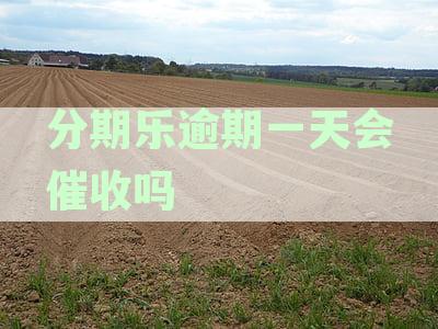 分期乐逾期一天会上报影响征信么,不是故意的