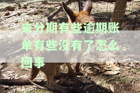 来分期逾期怎么没有上征信：逾期情况与征信报告关联解析