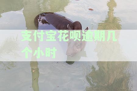 支付宝花呗逾期几个小时会被起诉，逾期起诉时间及上门真的会发生吗？