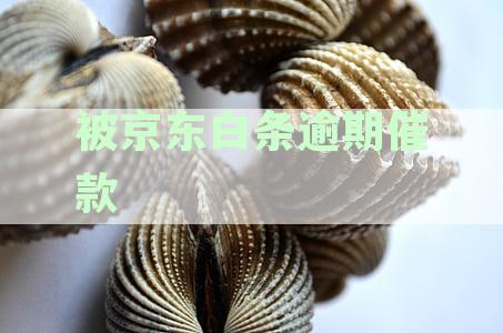 被逾期催款短信真伪辨析及处理指南