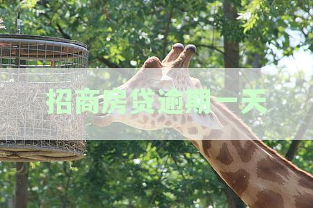 招商房贷逾期一天有影响吗：上征信、影响及对策分析