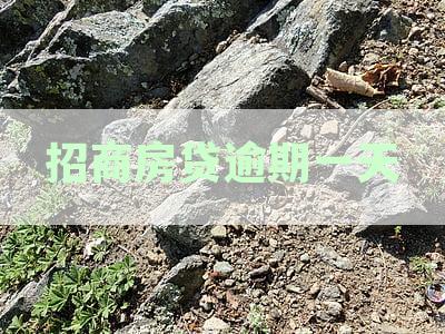 招商房贷逾期一天算逾期吗：影响征信、后果及处理指南