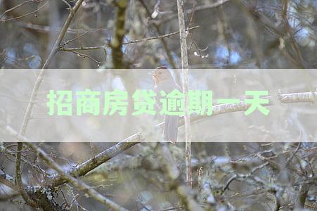 招商银行房贷逾期一天影响信用吗？自动扣款与上征信情况解析