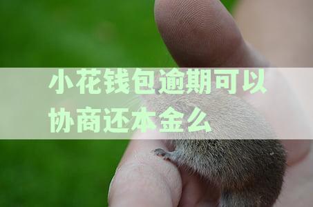 小花钱包逾期如何协商期还款及减免方案落地