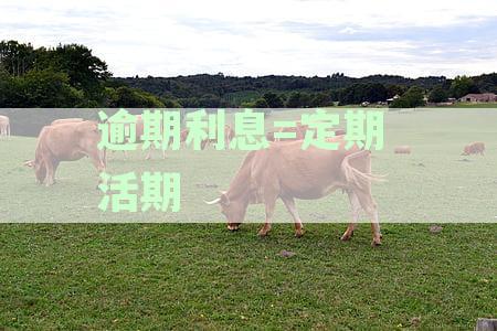 逾期支取的定期存款利息计算方式与逾期天数确定方法