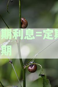 定期存款逾期怎么计息：逾期未支取利息计算详解