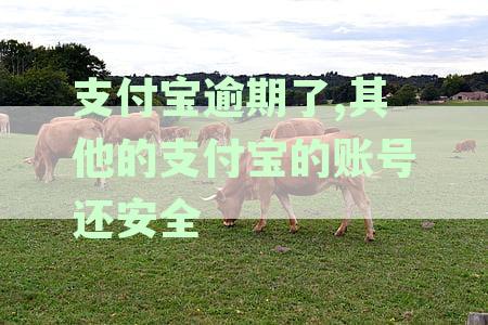 支付宝逾期名下其他支付宝账号受影响吗？逾期会被扣款吗？还能继续使用吗？