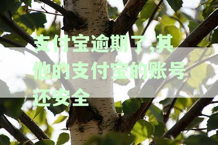 支付宝逾期了,其他的支付宝的账号还安全