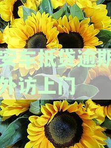 平安银行车抵贷逾期5天,会给家人打电话吗：真，安全，爆通讯录风险