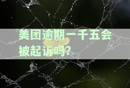 美团逾期一千五会被起诉吗?