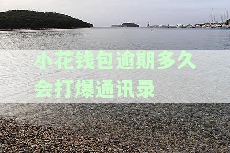 2023小花钱包逾期几天会打你通讯录的电话违法吗