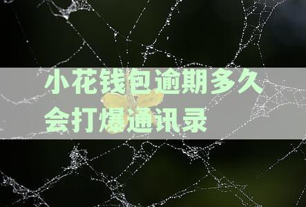 小花钱包逾期多久起诉有效，欠17000元逾期会被起诉吗？