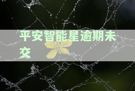 平安智能星逾期未交