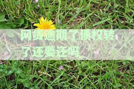 网贷逾期债权转让了会怎么样？处理方式及后续还款责任解析