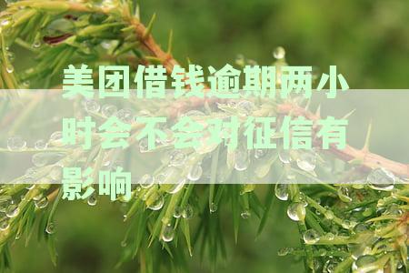 美团借钱逾期两小时还款后能否再次借款