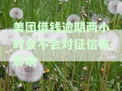 美团借钱逾期两天上征信吗：影响、后果及是否会记录