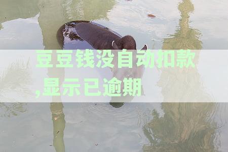 豆豆钱没自动扣款,显示已逾期