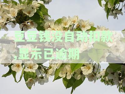 豆豆钱自动扣款没成功会上征信吗 导致征信受损