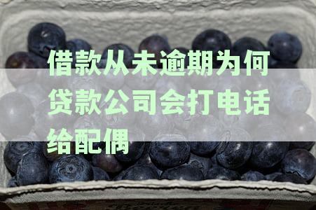 我没有贷款,但有贷款公司给我打电话怎么办?