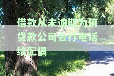 没有贷款老是有贷款公司打电话怎么办？如何应对无贷款却接到贷款推电话的问题？