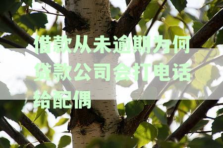 借款从未逾期为何贷款公司会打电话给配偶