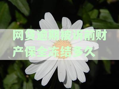 网贷逾期被申请财产保全怎么办？限制微信支付与解除保全时间详解