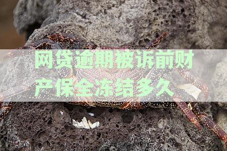网贷逾期被资产保全后如何处理：信用卡房贷还款及真实性问题