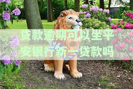 平安贷贷卡逾期后,能办理免息分期吗?是真的吗?