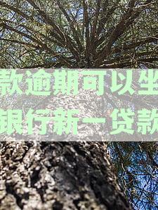 平安银行贷贷卡逾期后如何协商二次分期减本金处理及应对措