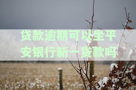 贷款逾期可以坐平安银行新一贷款吗