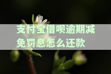 支付宝借呗逾期减免罚息怎么还款的？逾期减免利息罚息详解