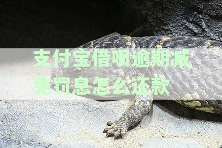 支付宝借呗逾期能减免罚息吗？逾期减免罚息理由、还款方式及申请流程解析