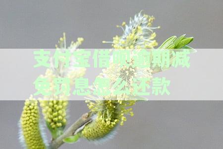 借呗逾期罚金减免申请流程及条件