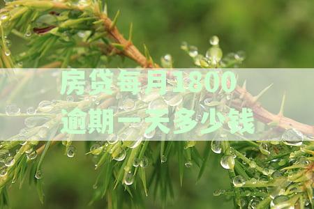 房贷逾期100块钱怎么办？如何消除征信影响