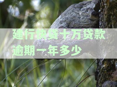 建行快贷十万贷款逾期一年多少钱利息