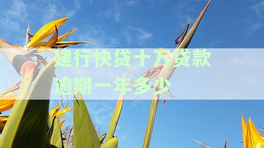 欠建行快贷10万逾期1年被起诉的后果与应对措
