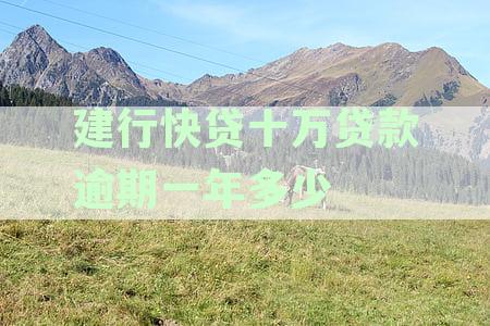 建行快贷十万无力偿还怎么办？了解处理方法和后果
