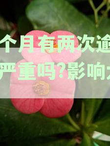 一个月逾期两次算逾期两次吗：一个月内两次逾期怎么办，逾期不超30天