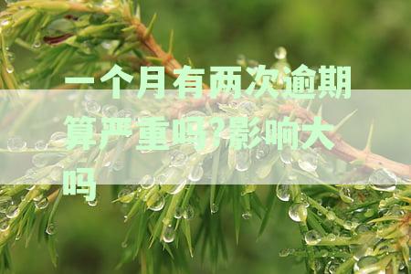 一个月逾期两次不超过30天的影响与应对措