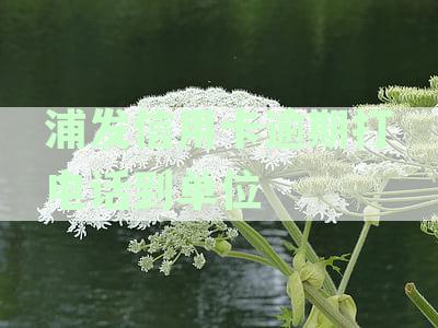浦发信用卡逾期打电话到单位怎么处理：5万逾期应对指南