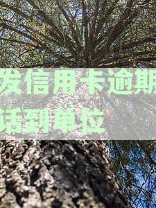 浦发信用卡逾期打电话到单位有用吗：信用卡5万逾期影响与解决方案