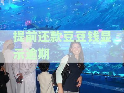 豆豆钱提前还清后能否再次借款及利息、违约金相关规定