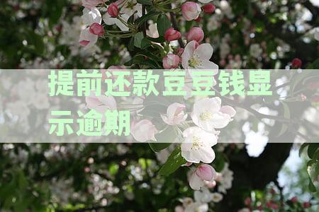 豆豆钱提前一天还款:操作指南及再次借款可能性