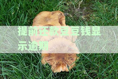 提前还款豆豆钱显示逾期