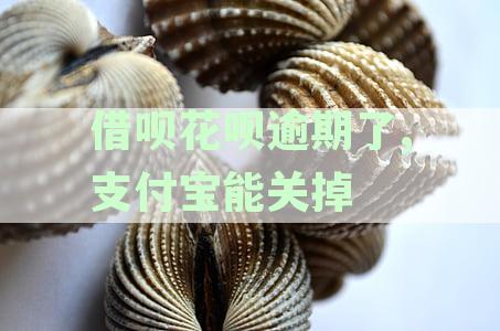 借呗花呗逾期了,支付宝能关掉吗,逾期关闭还会开通吗？