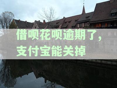 借呗花呗逾期了,支付宝能关掉嘛:逾期关闭还会开通吗?